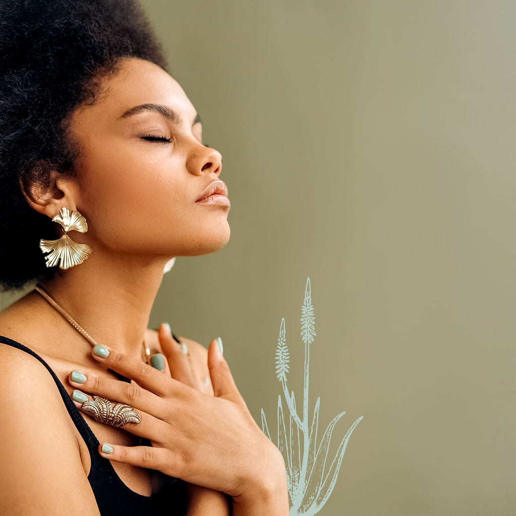 Lily of The Desert Aloe Vera Gel - 16 oz