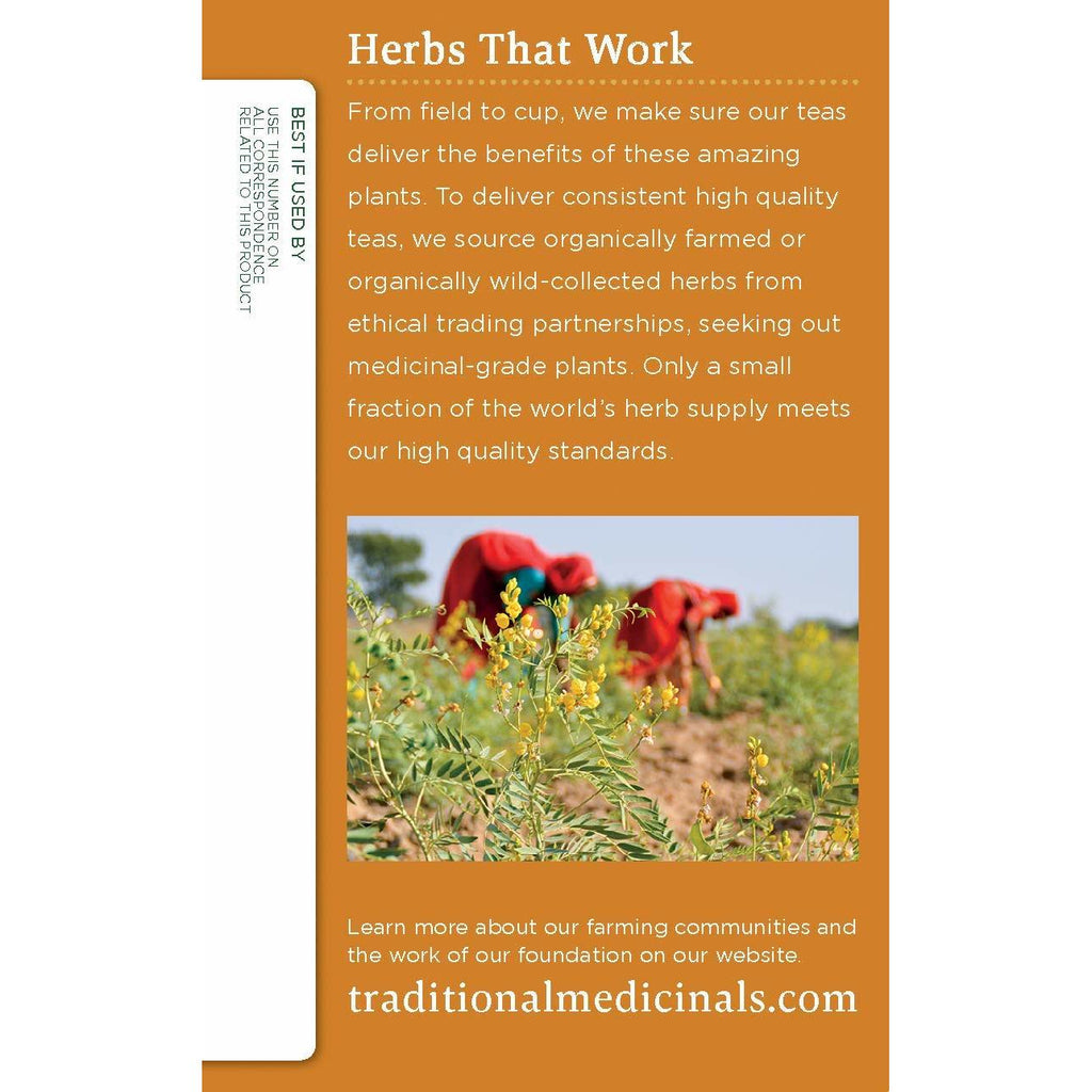 Traditional Medicinals Organic Ginger Aid Herbal Tea - Caffeine Free -16 Bags-,TRADITIONAL MEDICINALS,OxKom