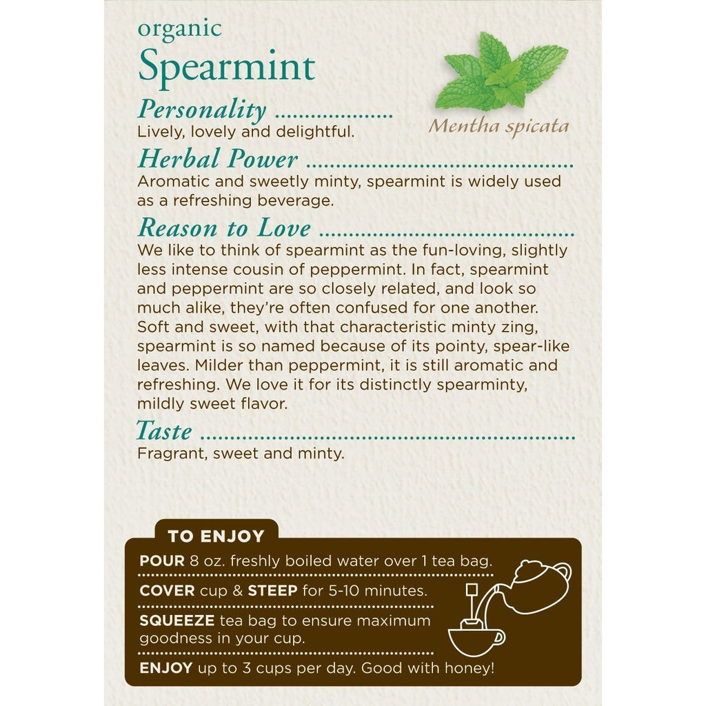 Traditional Medicinals Organic Spearmint Tea, 16 Tea Bags,TRADITIONAL MEDICINALS,OxKom