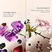 Suave Antiperspirant Deodorant for Women, Wild Cherry Blossom + Sweet Pea & Violet Variety 4-Pack – Anti-Staining Invisible Solid Sticks, Talc-Free, 2.6 Oz Ea