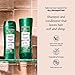 Suave Shampoo and Conditioner Set, Rosemary and Mint - Invigorating Herbal Clarifying Shampoo and Conditioner, Hair Strengthening, Scented, 12.6 Oz Each (2 Piece Set)