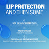 ChapStick Moisture + SPF 15 Bulk Lip Balm Sunscreen 12-Pack, 0.15 Oz Ea