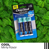 ChapStick Moisturizer (Cool Mint Flavor, 0.15 Ounce, 3 Sticks) Lip Balm Tube, Skin Protectant, Lip Care, SPF 15