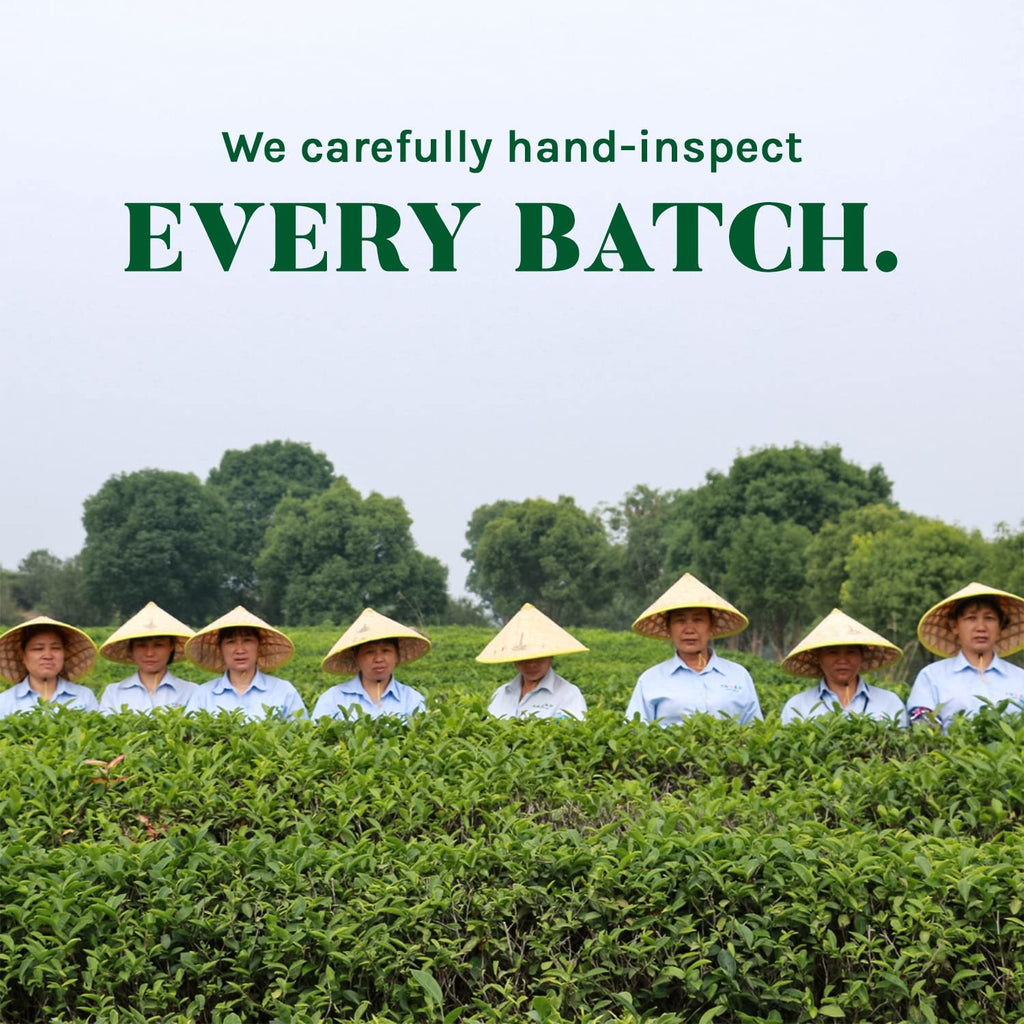 Uncle Lee'S Legends Of China Organic Green Tea - 100 Tea Bags,UNCLE LEE'S TEA,OxKom